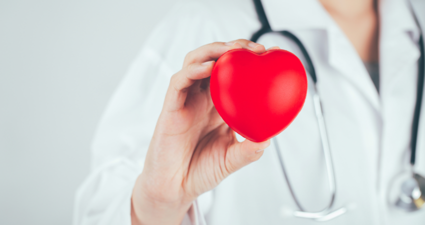 Lääkäri pitää kädessään sydäntä.
