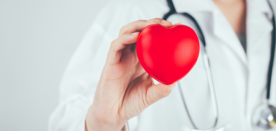 Lääkäri pitää kädessään sydäntä.