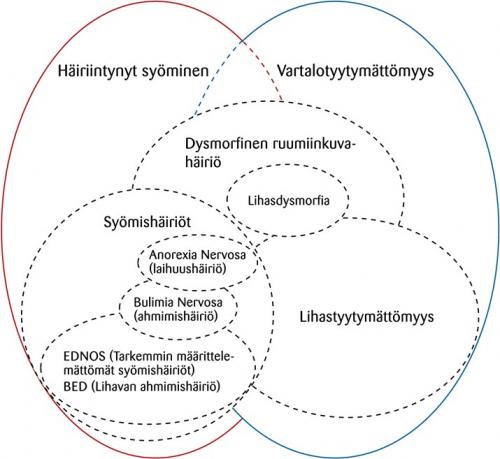 Käsitteitä: Häiriintynyt syöminen: Syömishäiriöt Anorexia nervosa (laihuushäiriö) Bulimia nervosa (ahmimishäiriö) EDNOS (Tarkemmin määrittelemättömät syömishäiriöt) BED (Lihavan ahmimishäiriöt). Vartalotyytymättömyy:, Dysmorfinen ruumiinkuvahäiriö, Lihastyytymättömyys, Lihasdysmorfia.