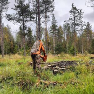 Mies tekemässä metsätöitä