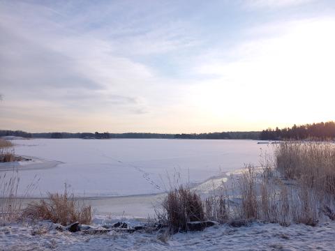 talvinen kuva merenrannalta