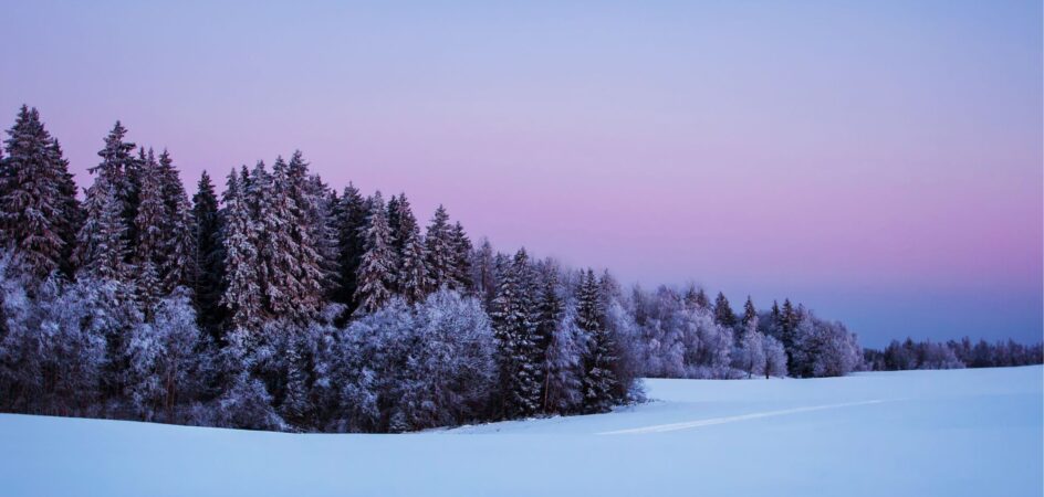Talvinen metsämaisema
